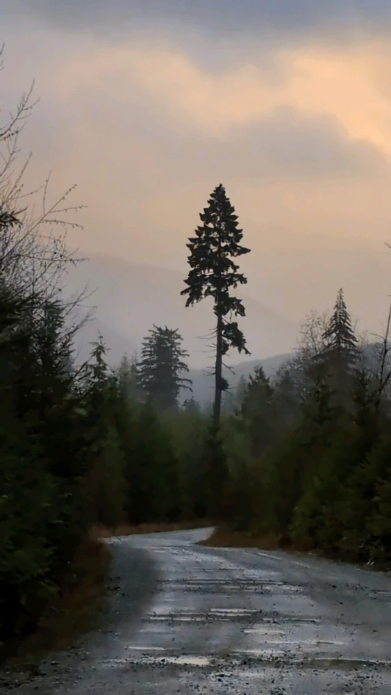 GIF uploaded by Chantel Heaven Marie
