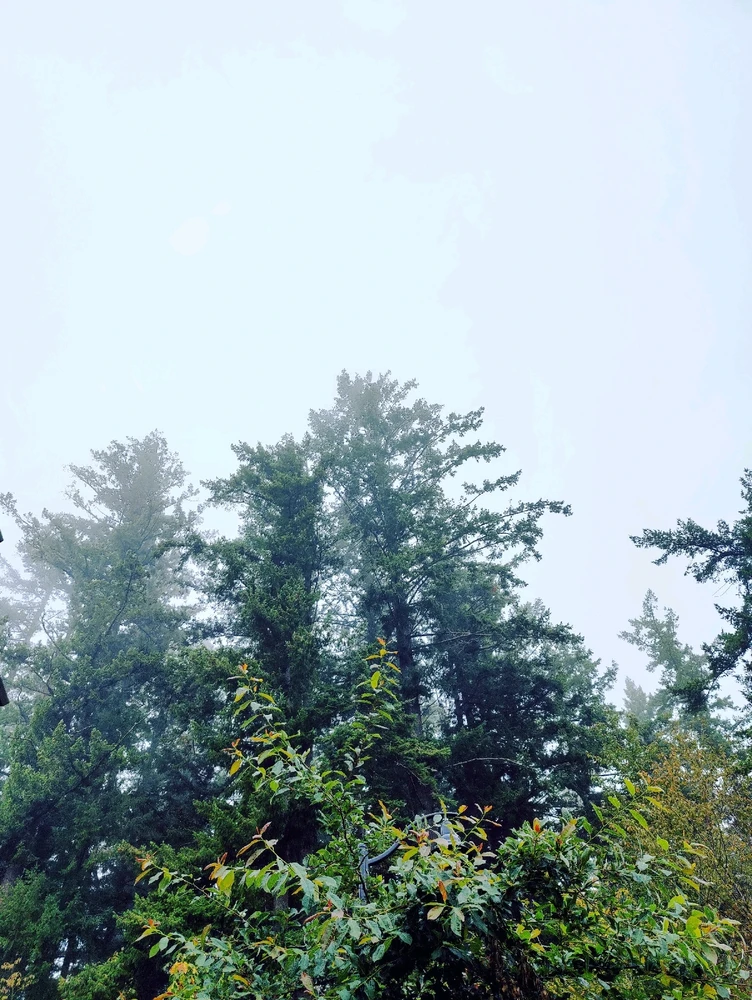 Image uploaded by Jacob