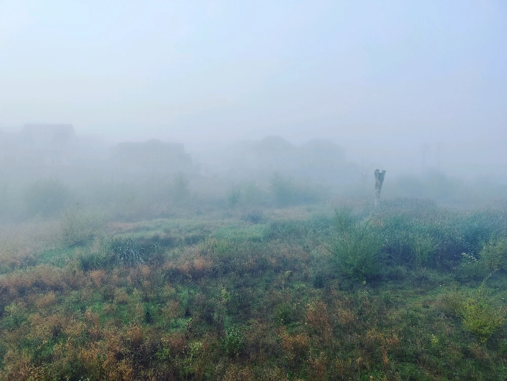 Image uploaded by Jacob