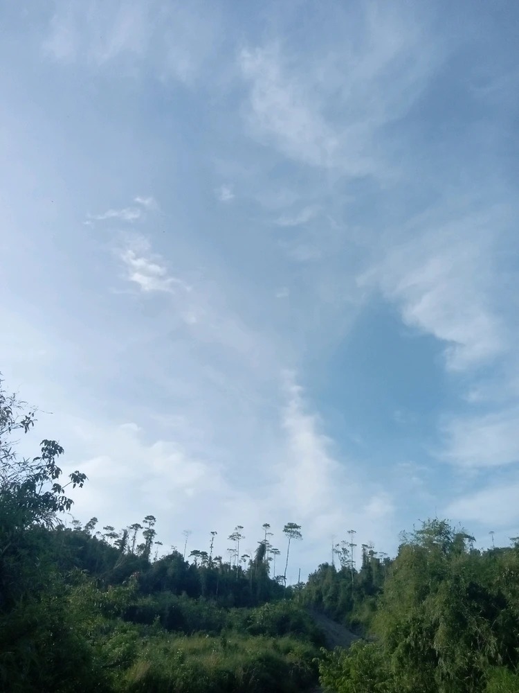 Image uploaded by Nheyce