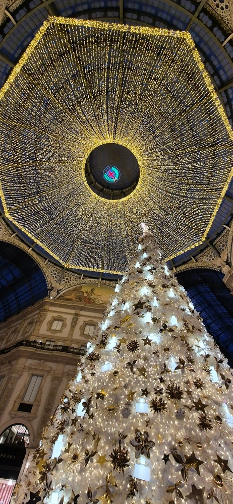 Image ajoutée par Marco