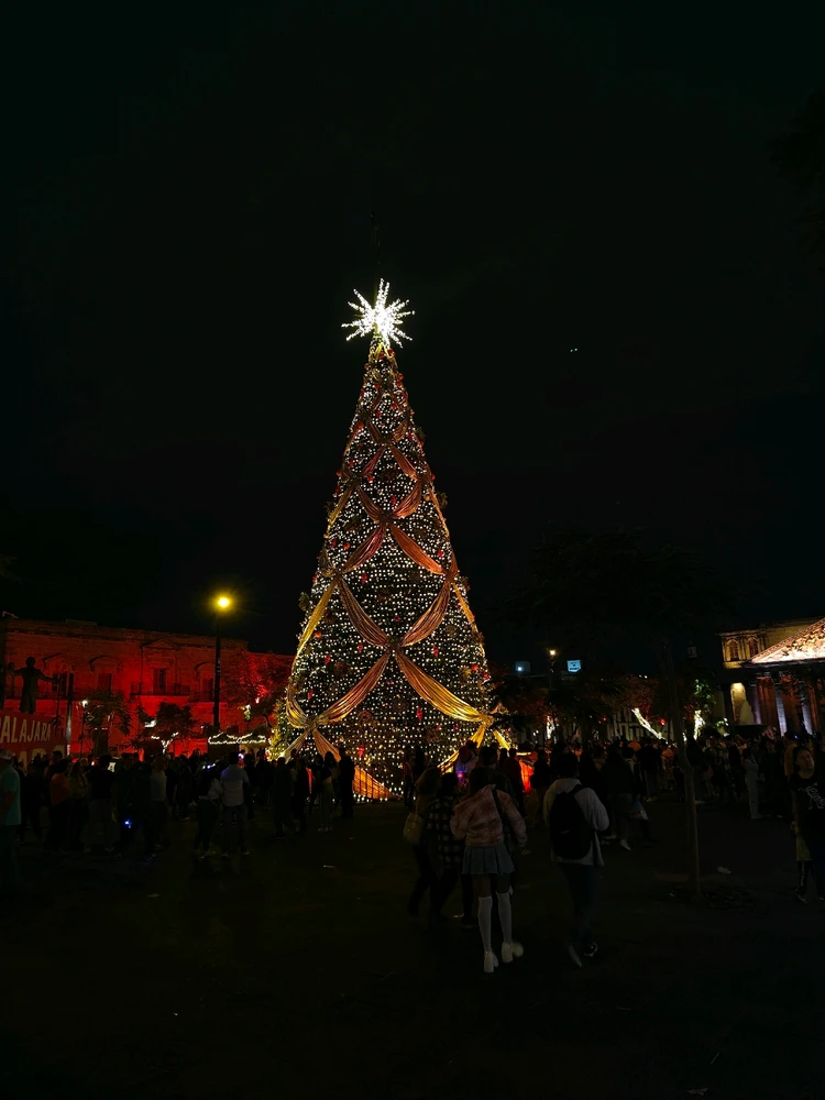 Image uploaded by Carlos Perez
