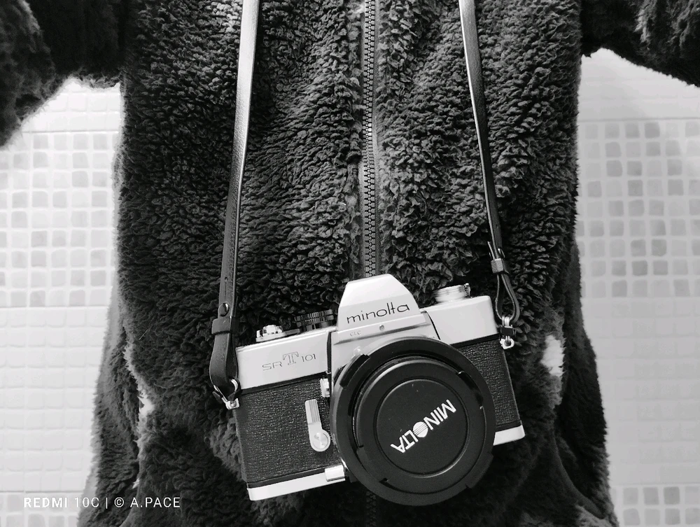 Immagine caricata da Alessandro | alpacigno