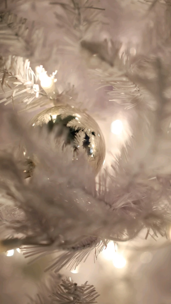 Image uploaded by Adam