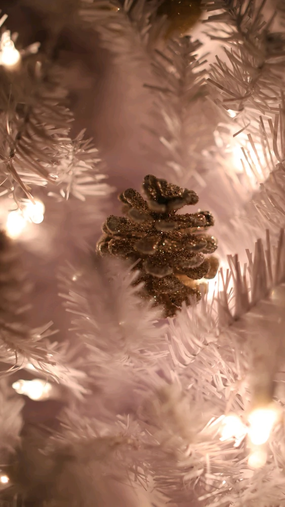 Image uploaded by Adam