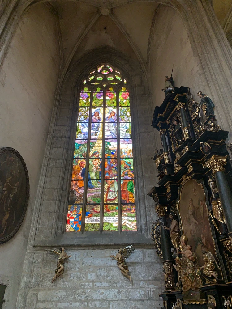 Obrázek nahrál Kolonoskopie