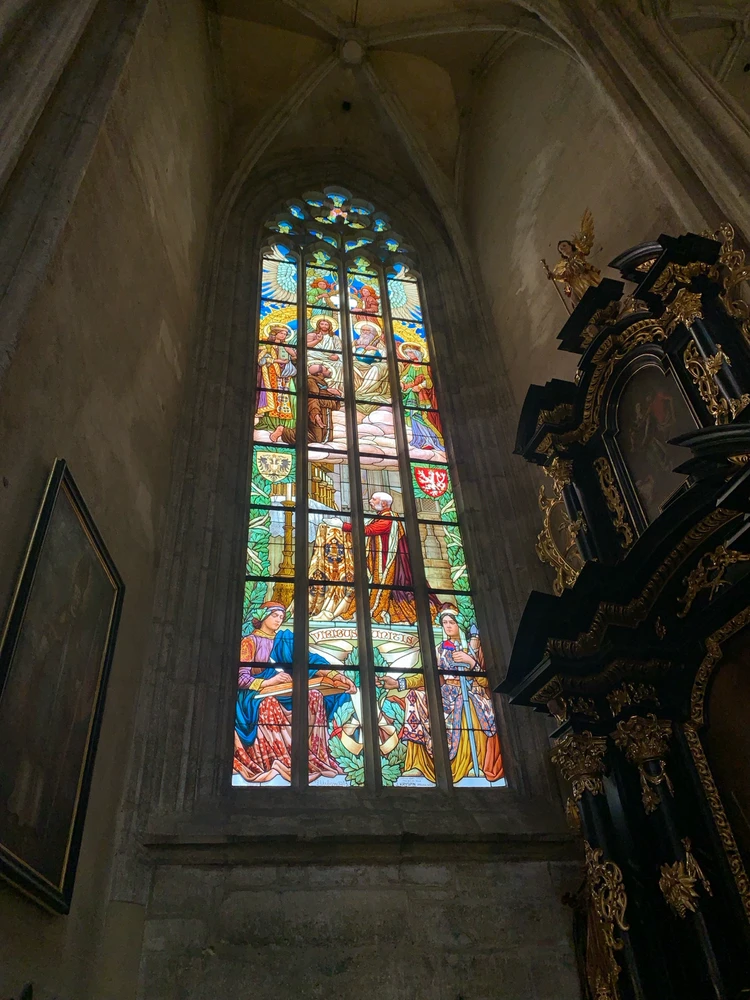 Obrázek nahrál Kolonoskopie