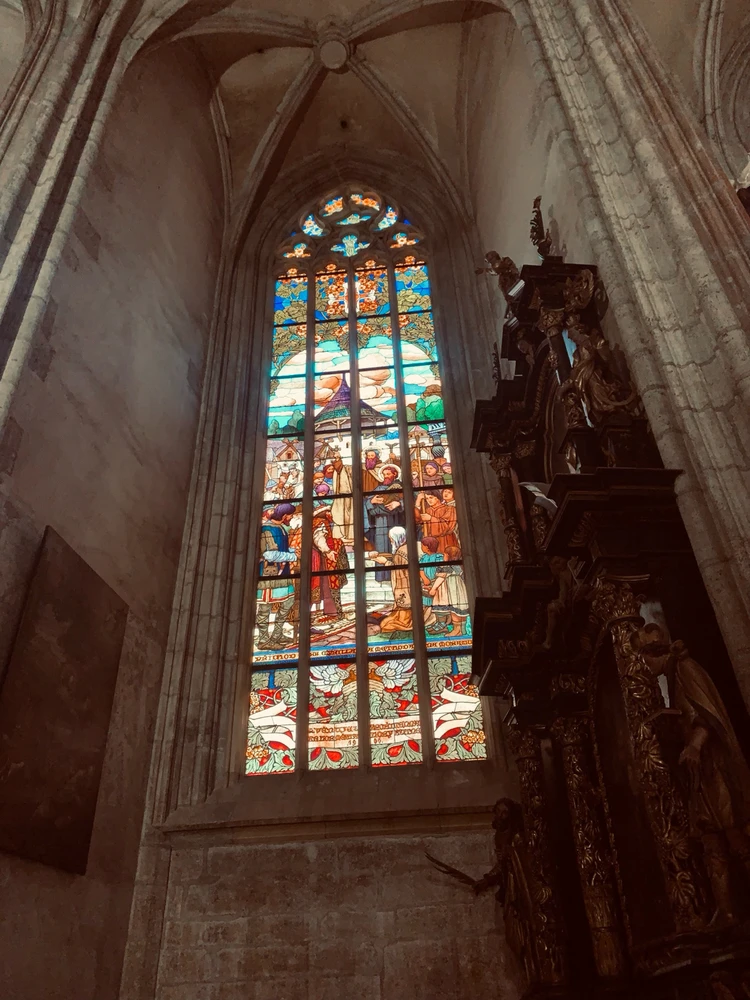 Obrázek nahrál Kolonoskopie