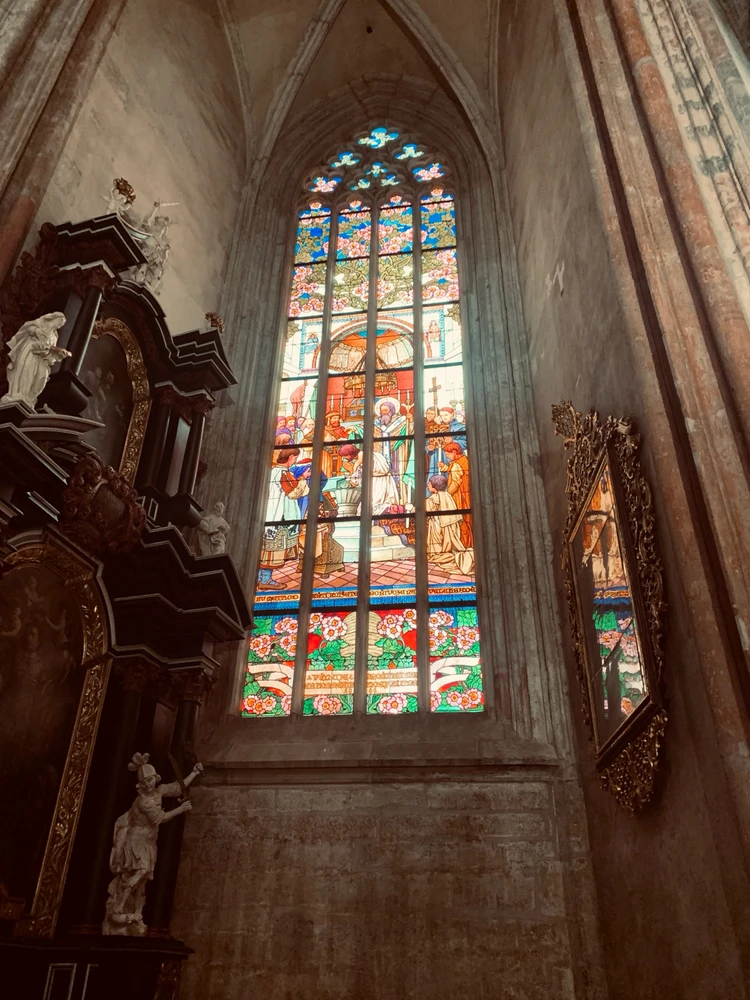 Obrázek nahrál Kolonoskopie