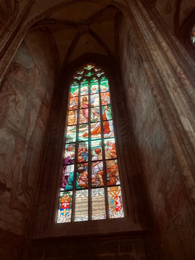 Obrázek nahrál Kolonoskopie