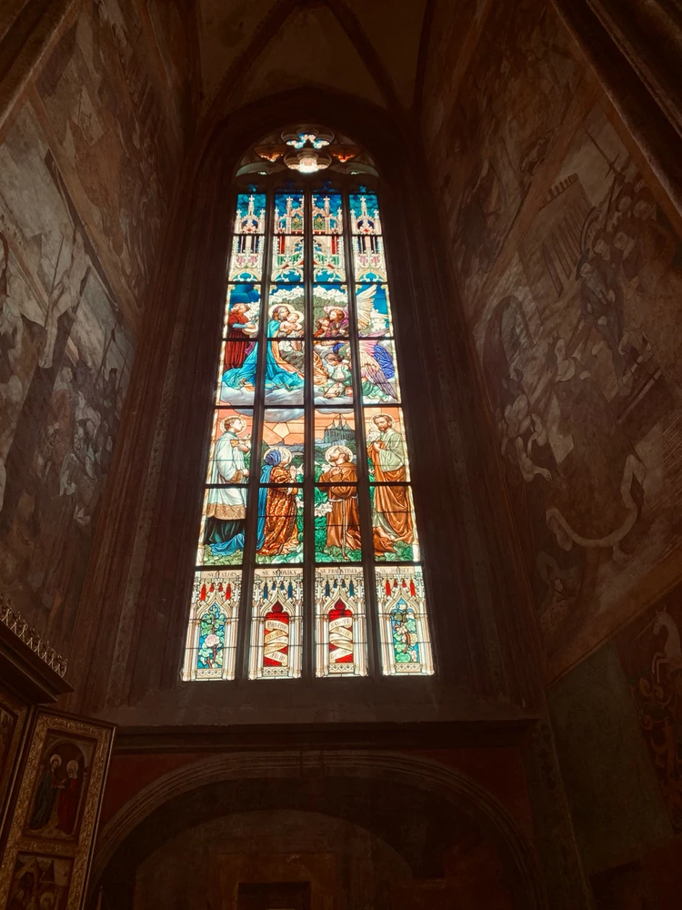 Obrázek nahrál Kolonoskopie