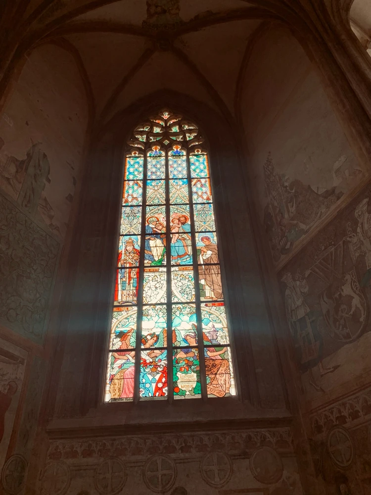 Obrázek nahrál Kolonoskopie