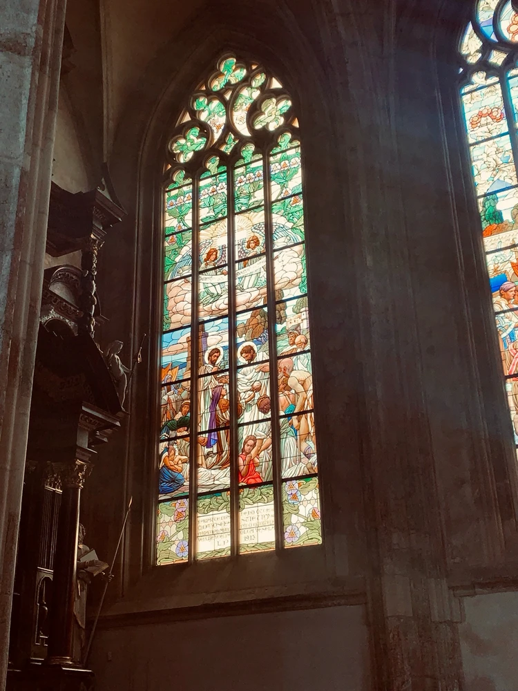 Obrázek nahrál Kolonoskopie