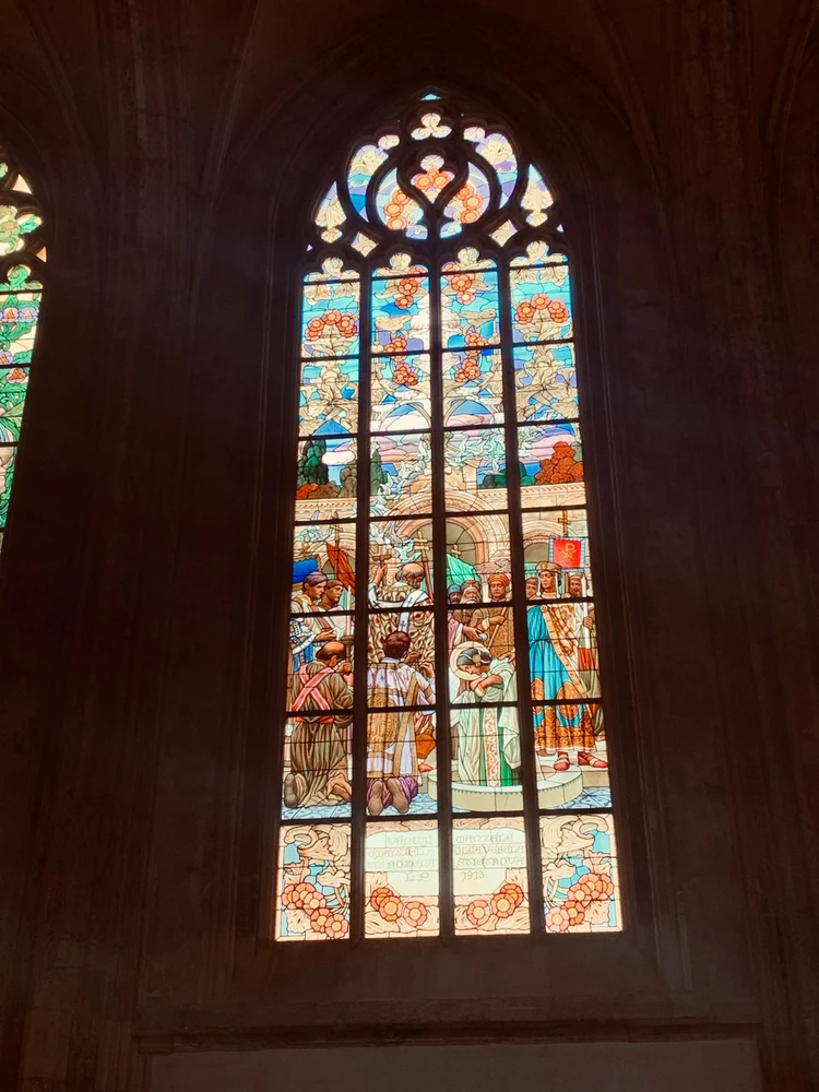 Obrázek nahrál Kolonoskopie