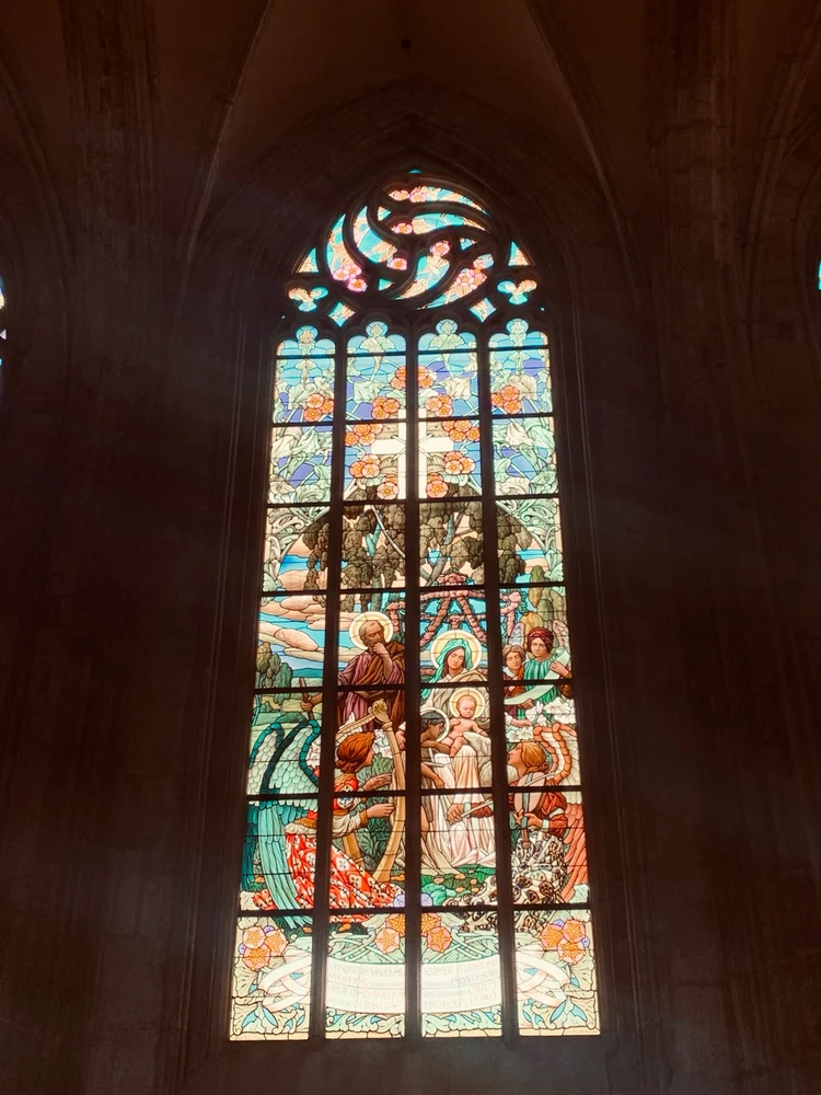 Obrázek nahrál Kolonoskopie