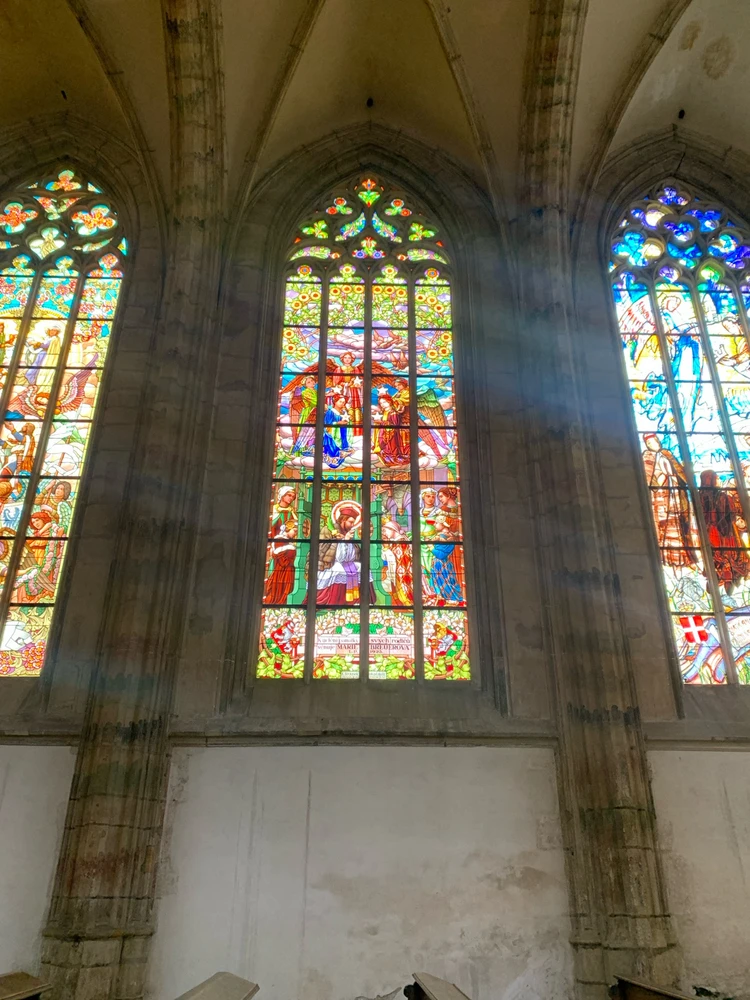 Obrázek nahrál Kolonoskopie