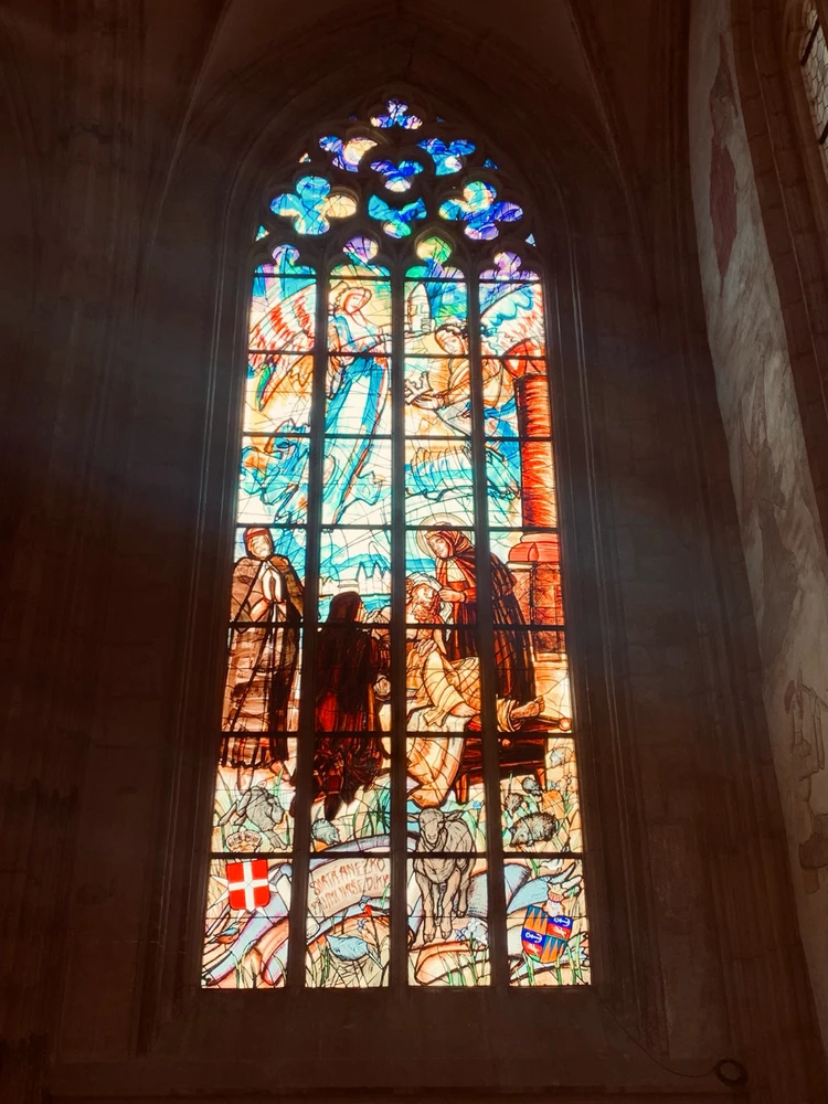 Obrázek nahrál Kolonoskopie