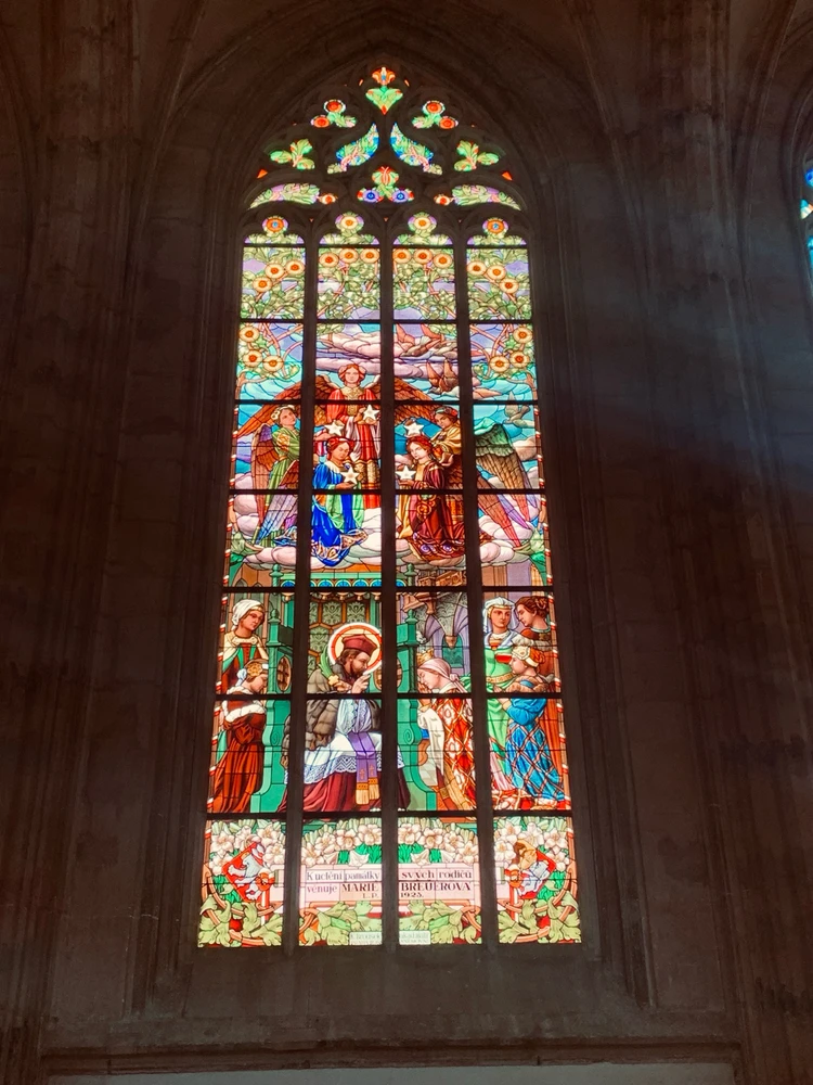 Obrázek nahrál Kolonoskopie