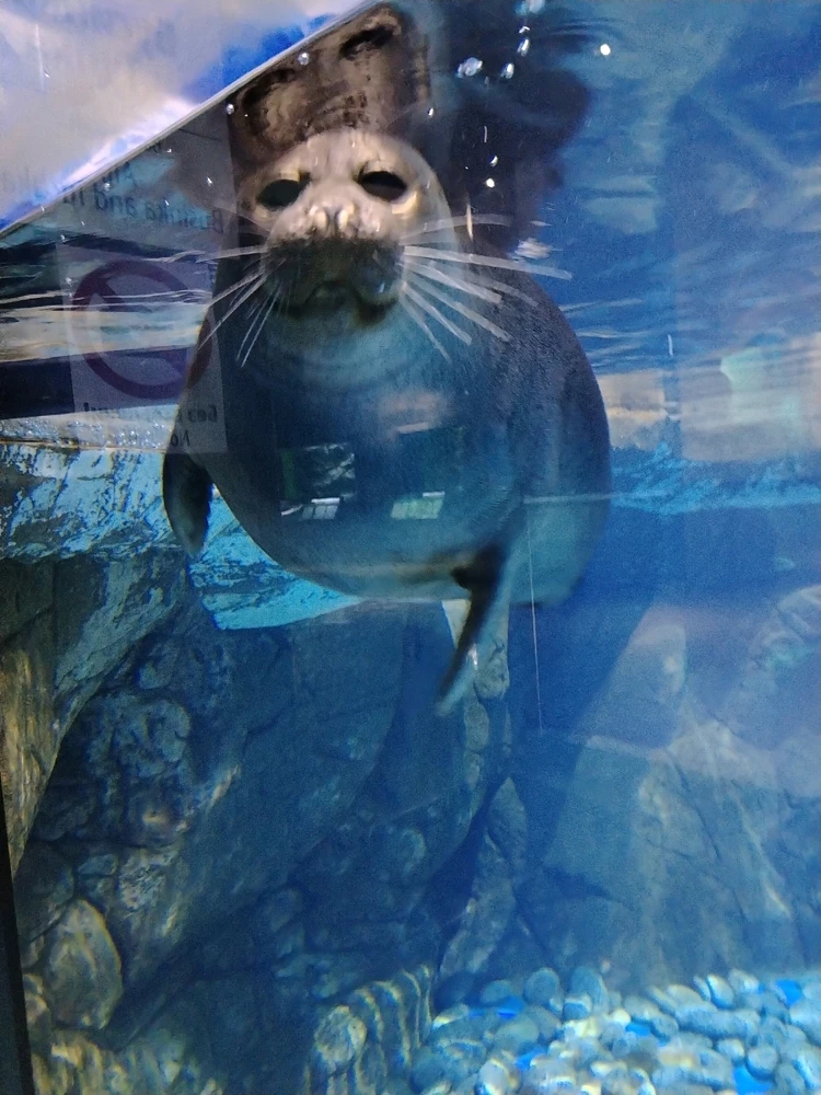 Family trip to the oceanarium