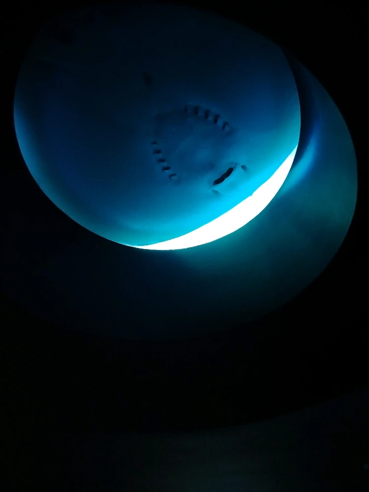 Family trip to the oceanarium