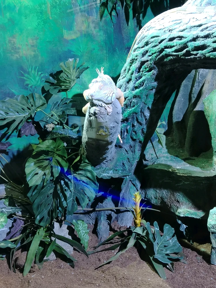 Family trip to the oceanarium