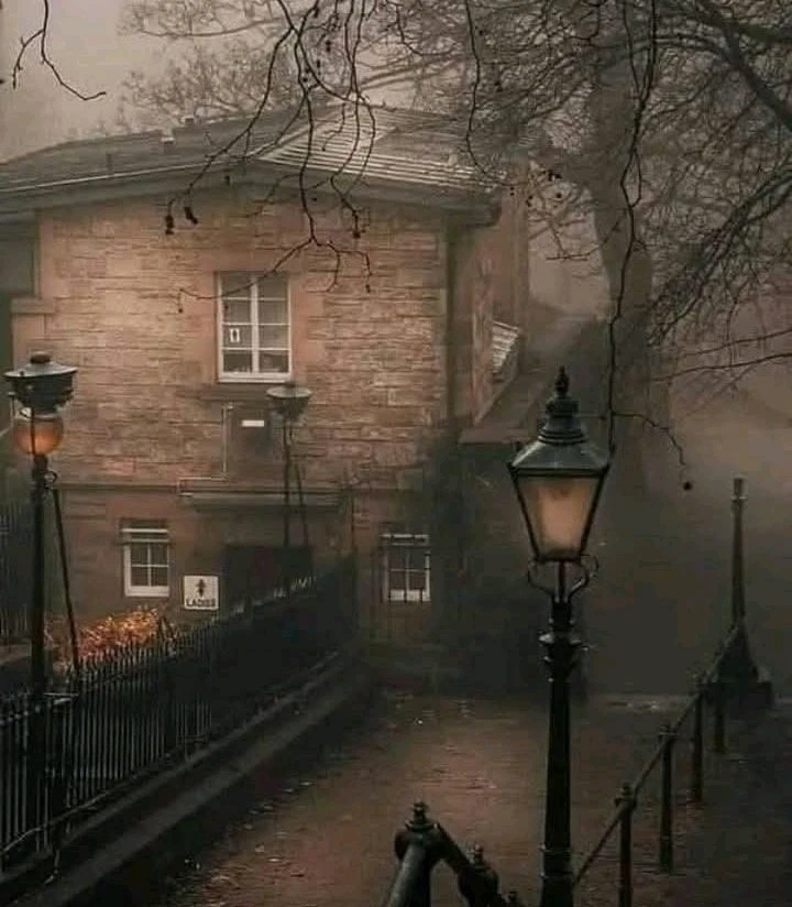 GIF uploaded by N-ALi