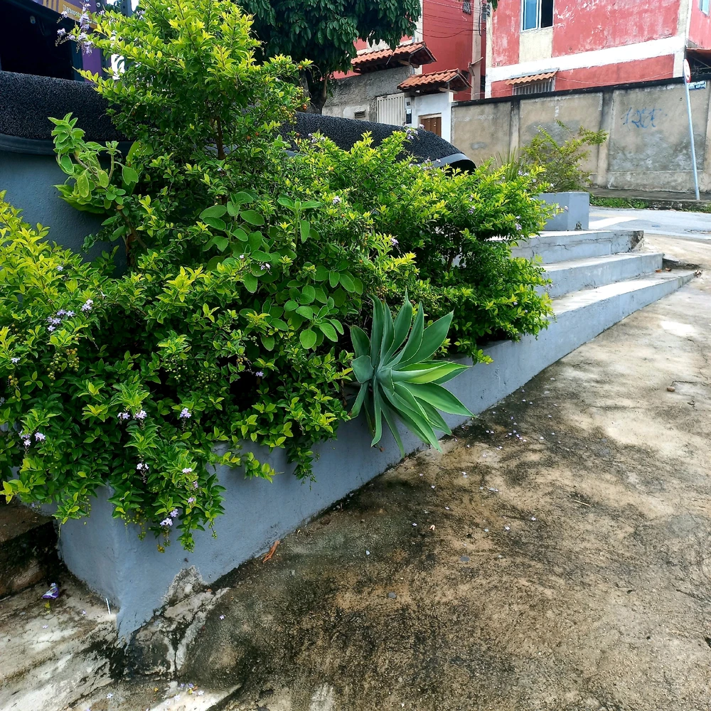 GIF enviado por Renata