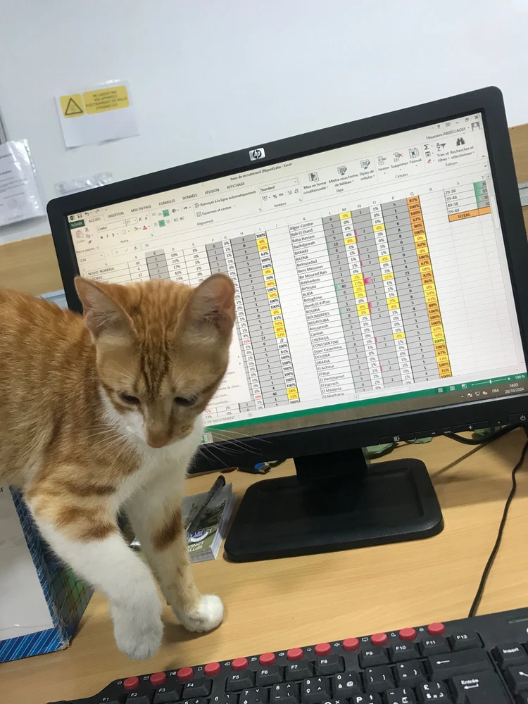 GIF ajouté par Houssem