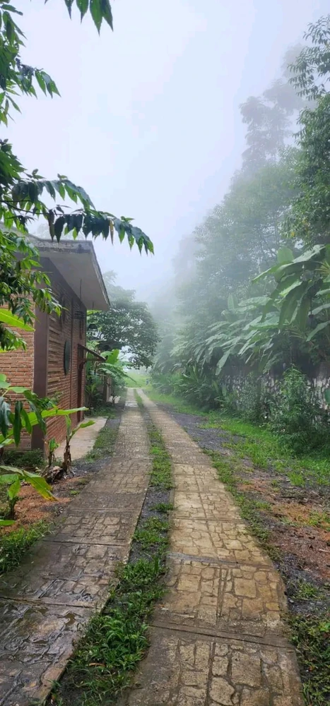 Image uploaded by ❤ Sophia aka Mango Mami ❤️