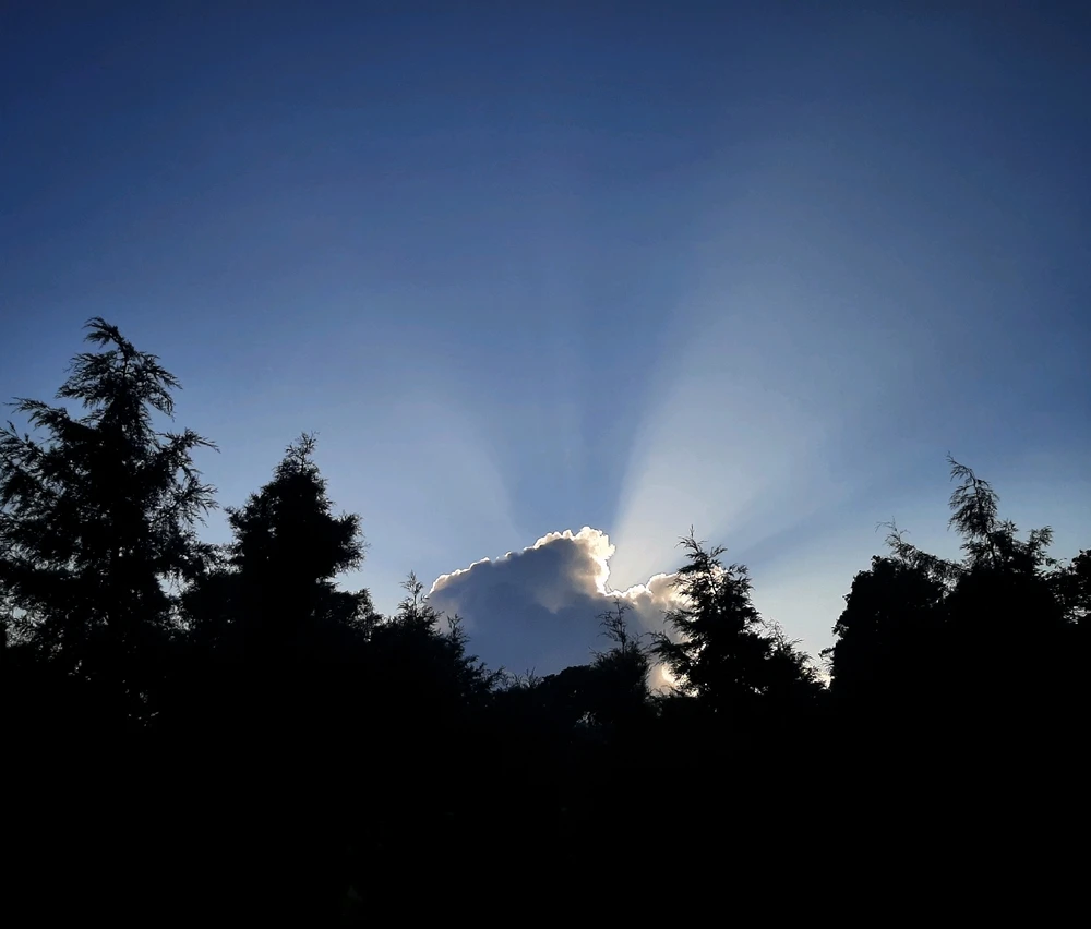 GIF subido por Gaby 🌼