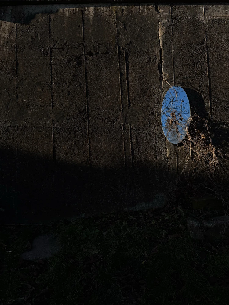 Obrázek nahrál Irónia