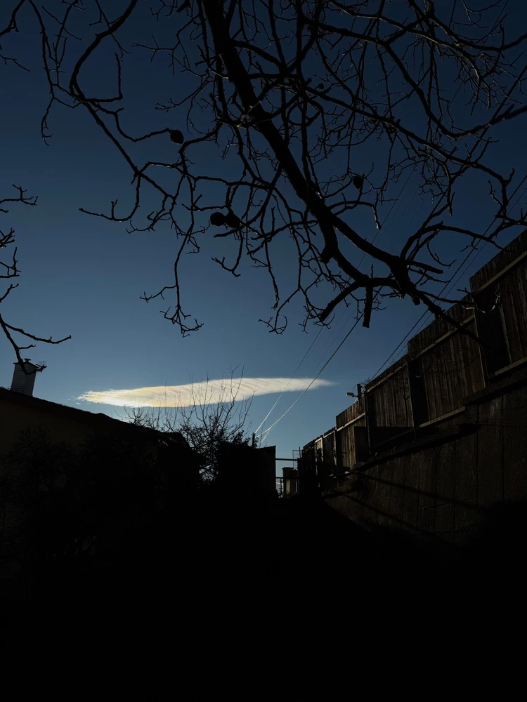 Obrázek nahrál Irónia