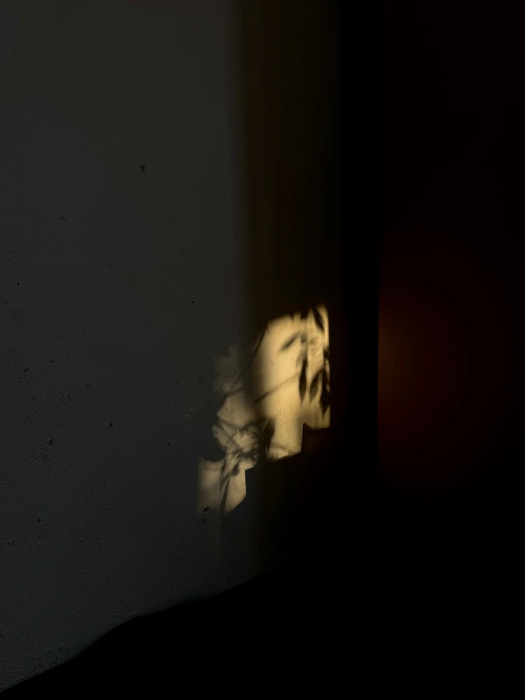 Obrázek nahrál Irónia