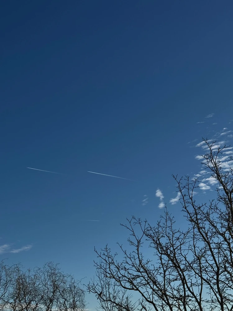 Obrázek nahrál Irónia