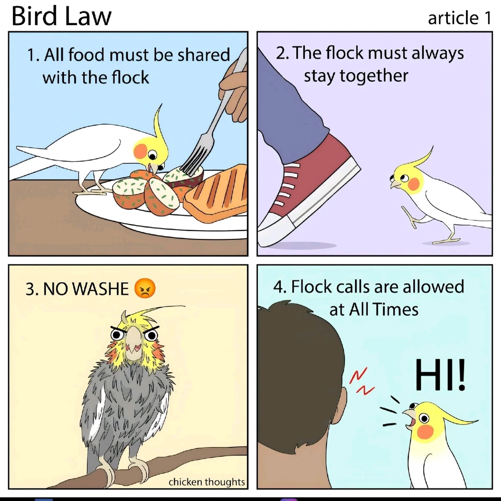 Bild hochgeladen von Julez