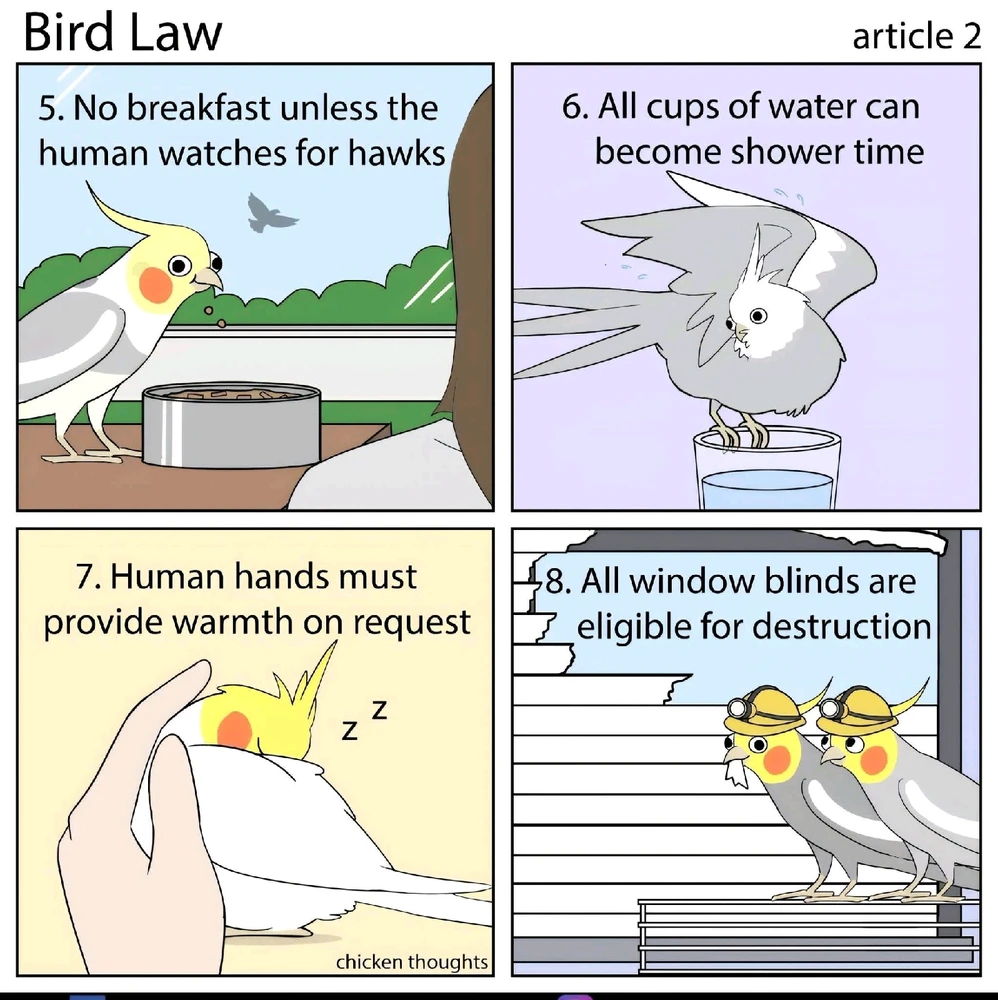 Bild hochgeladen von Julez