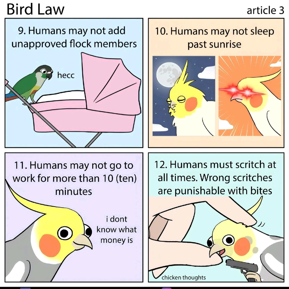 Bild hochgeladen von Julez