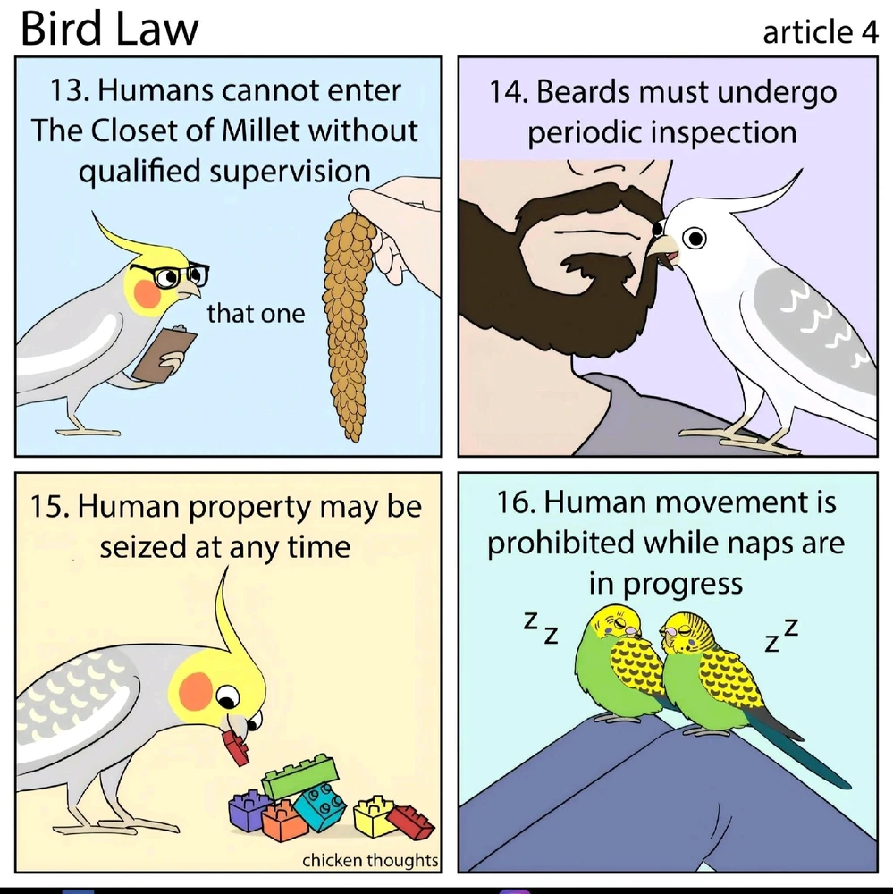 Bild hochgeladen von Julez