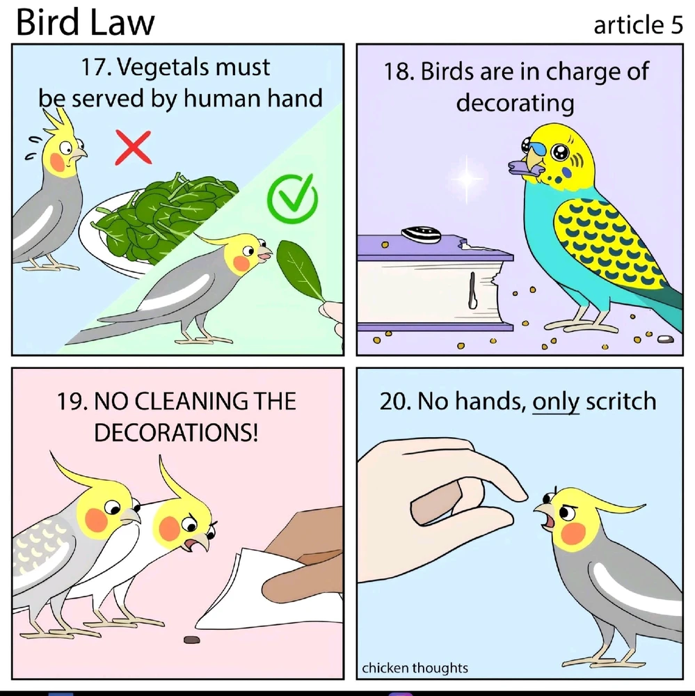 Bild hochgeladen von Julez