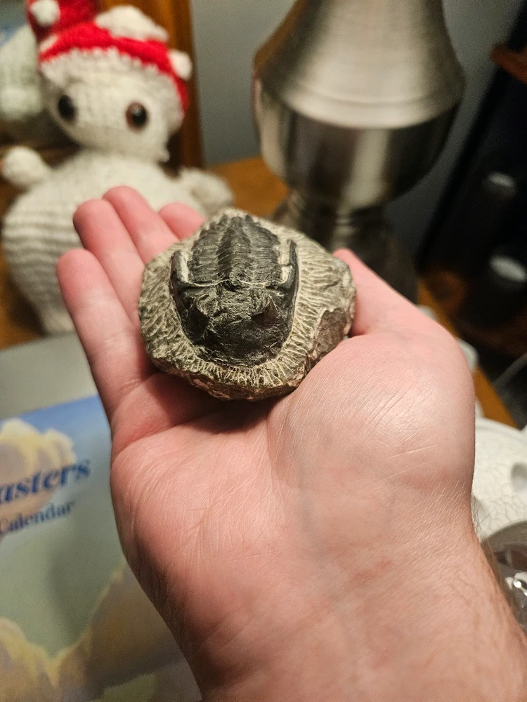 Image uploaded by Frank Toth