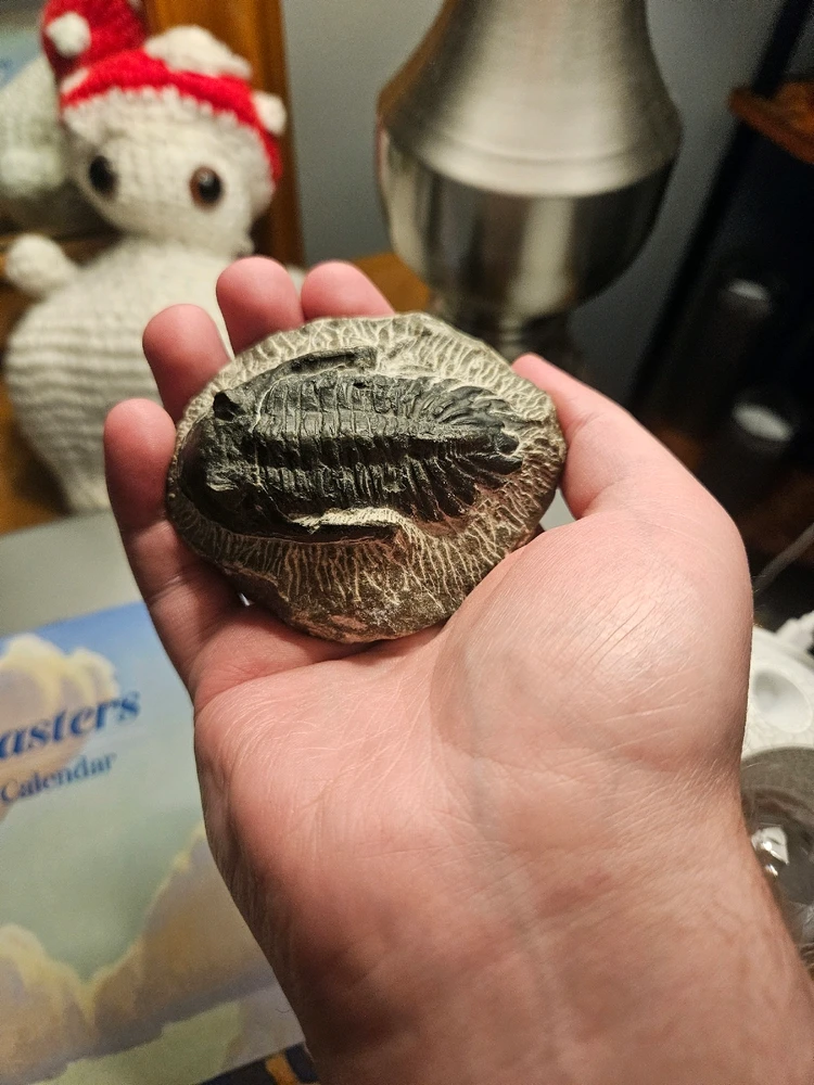 Image uploaded by Frank Toth