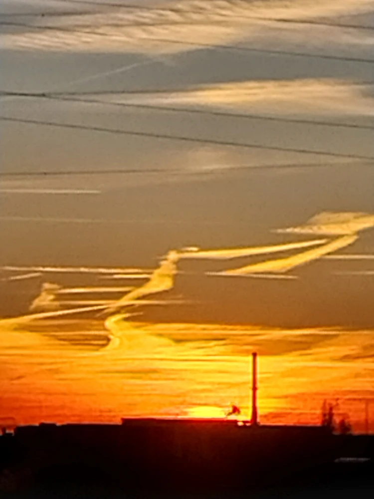 Image ajoutée par BlueV