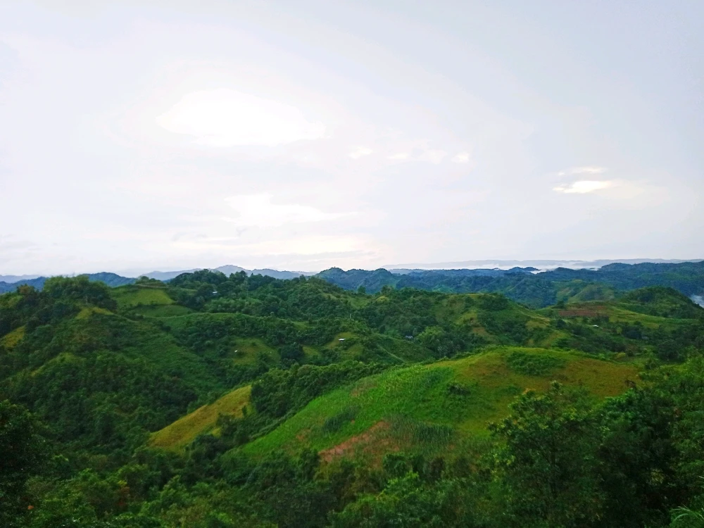 I-upload ni Jai ang larawan