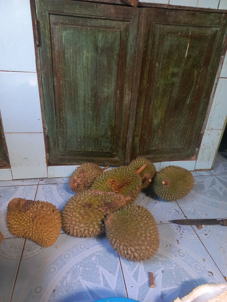 GIF uploaded by Lola