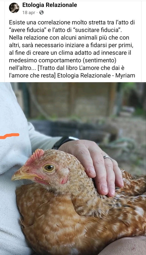 GIF caricata da Sara