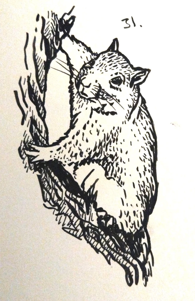 Image uploaded by Aaron