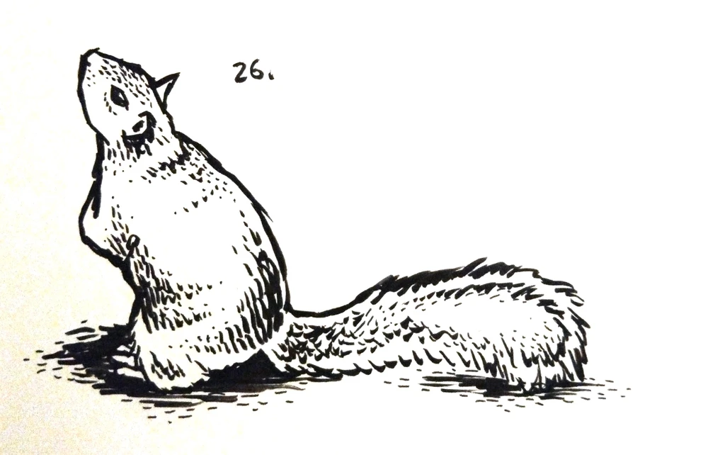 Image uploaded by Aaron