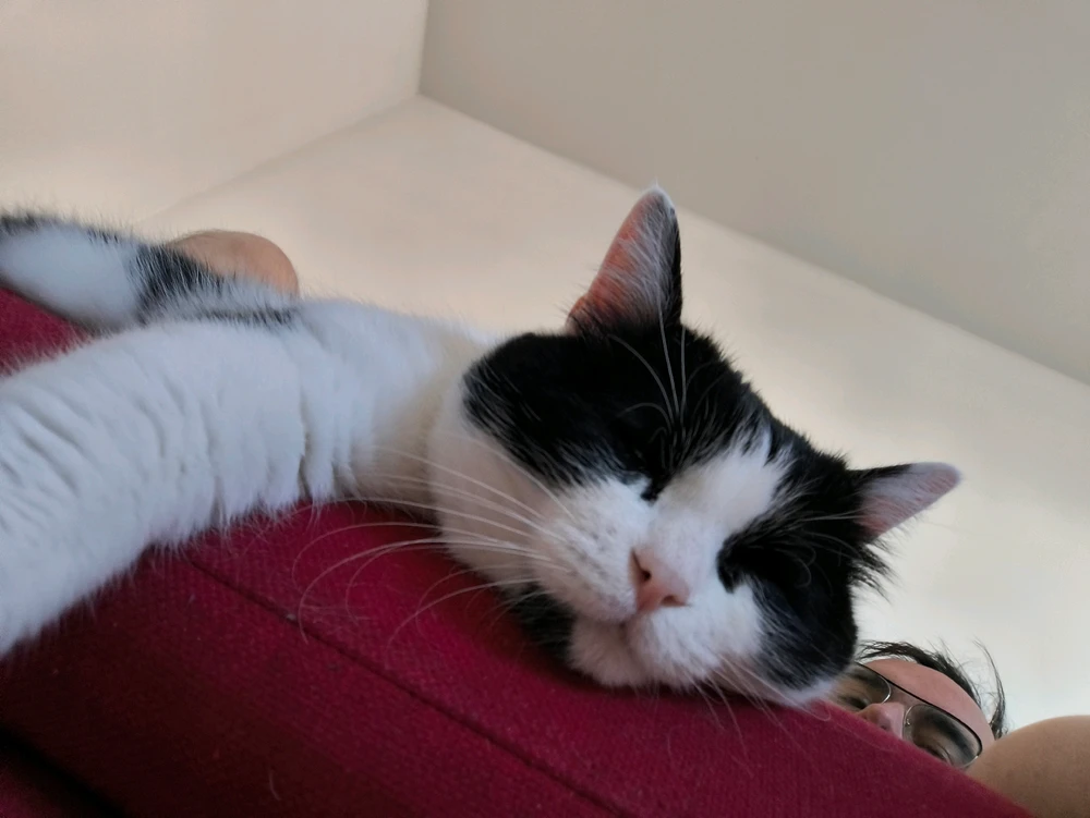 GIF ajouté par Rémy