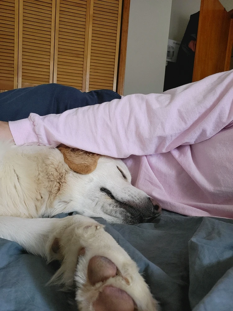 Paul님이 올린 GIF