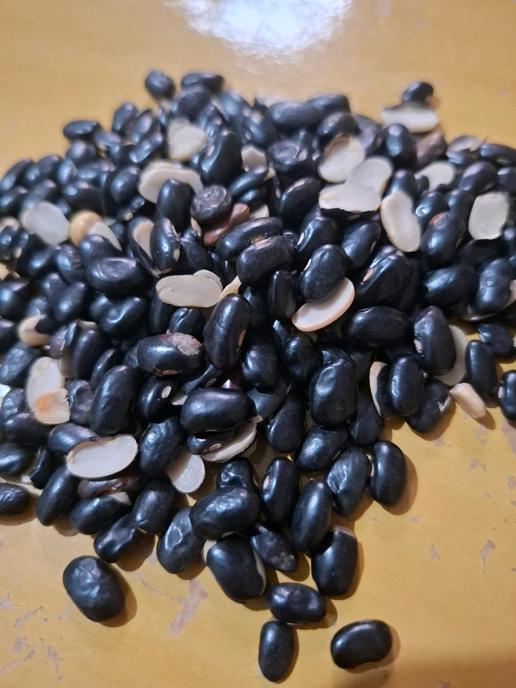 GIF enviado por Kíssila